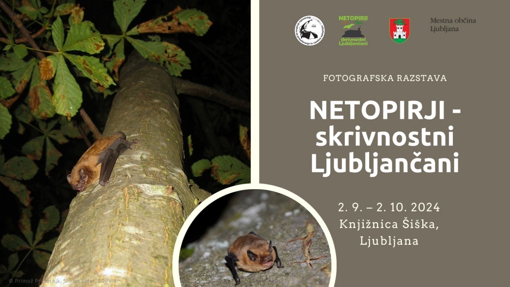 Razstava Netopirji – skrivnostni Ljubljančani